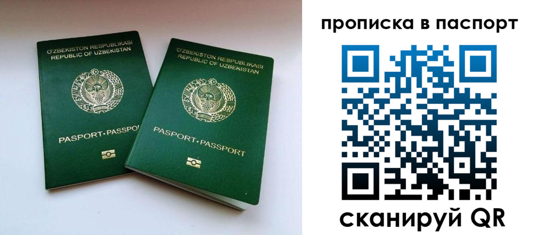 временная регистрация в Палласовке
